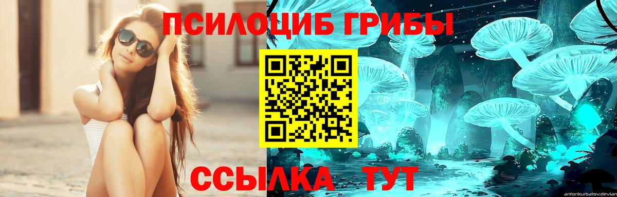 Галлюциногенные грибы прущие грибы Фролово